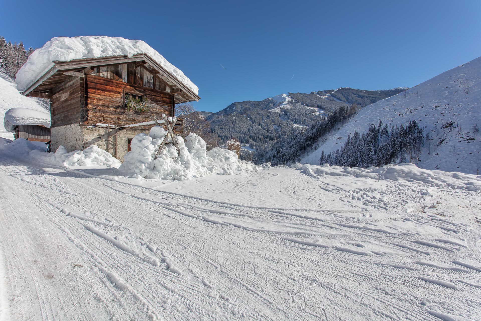 Bauernhof Saalbach Viehhofen Winterurlaub 8849